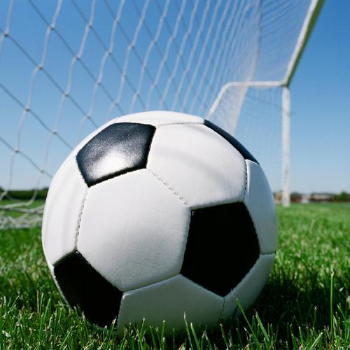 Sinologists help to bridge civilizations